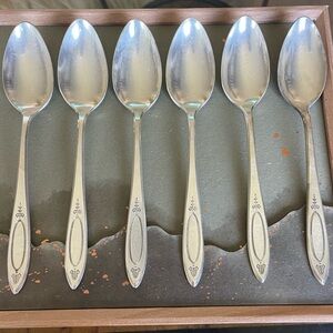 SET of 6! Vintage COMMUNITY PLATE spoons